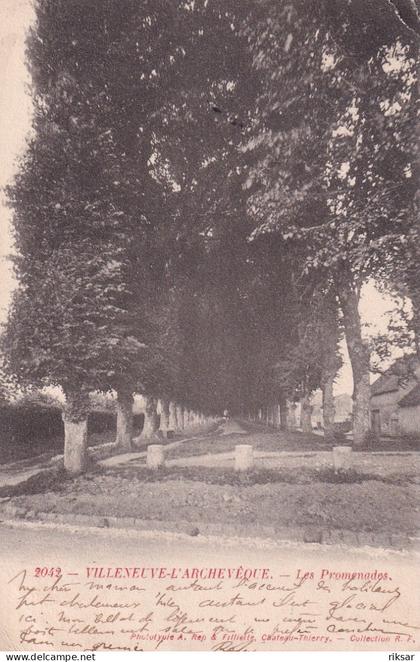 VILLENEUVE L ARCHEVEQUE(ARBRE)