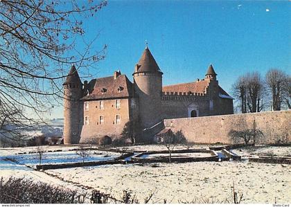38 VIRIEU CHATEAU DE VIRIEU