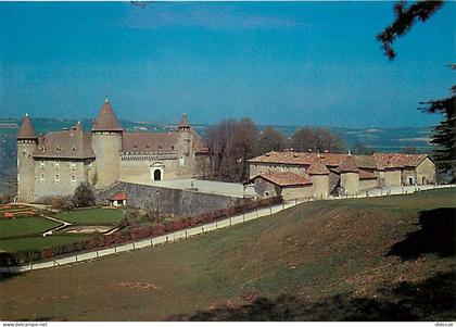 38 - Virieu sur Bourbre - Le Château - Carte Neuve - CPM - Voir Scans Recto-Verso