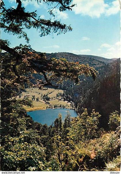 88 - Xonrupt-Longemer - Le Lac de Retournemer - Carte Neuve - CPM - Voir Scans Recto-Verso