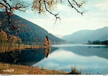 Carte Postale - 88 - Xonrupt-Longemer - Le lac de Longemer - Carte Neuve - CPM - Voir Scans Recto-Verso - Poscard - Cart