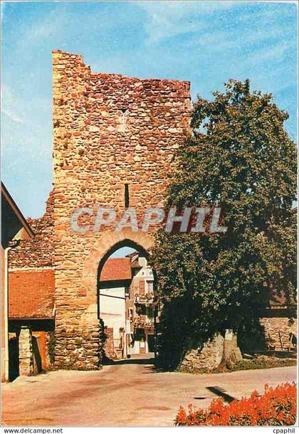 CPM Yvoire Porte gothique