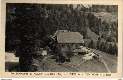 CPA Pailly Hotel de la Gentiane FRANCE (1335432)