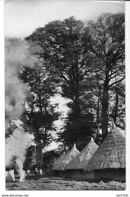 CPA GUINEE FRANCAISE -village en forêt