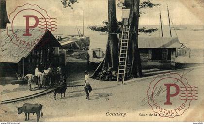 GUINEA. GUINEE FRANÇAISE. CONAKRY cour de la compagnie CFAO