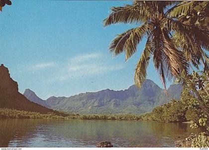 AK 175887 FRENCH POLYNESIA - Moorea - Paysage de la baie de Hopunohu