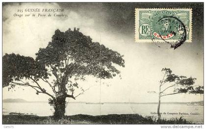 Afrique - Guinée - Konakry
