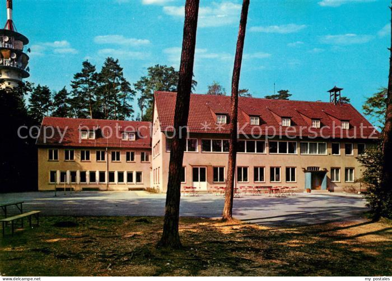 Frauenkopf Waldheim
