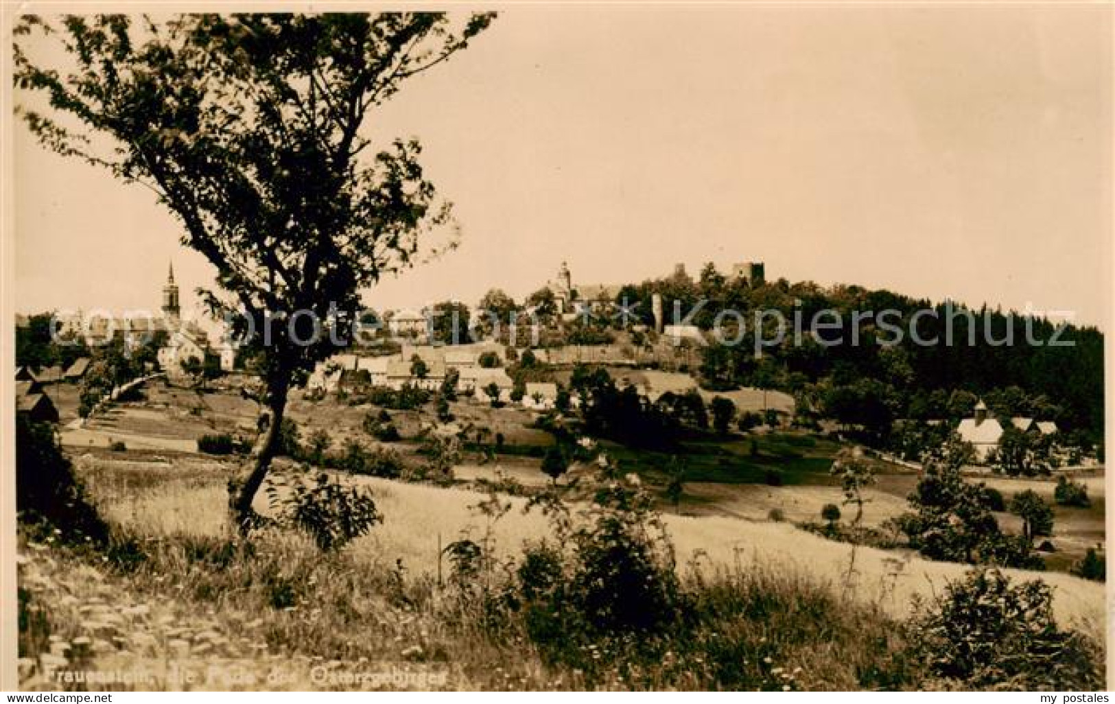 Frauenstein Brand-Erbisdorf Osterzgebirge Panorama