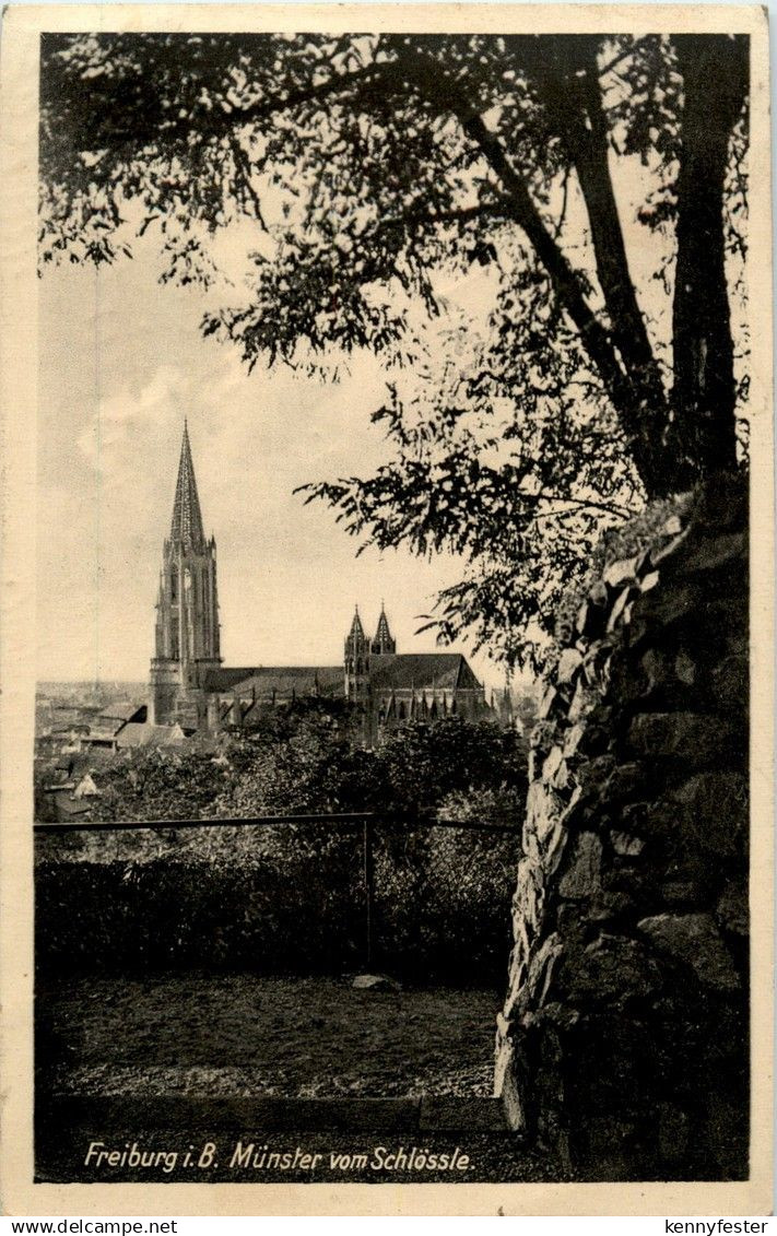 Freiburg - Münster