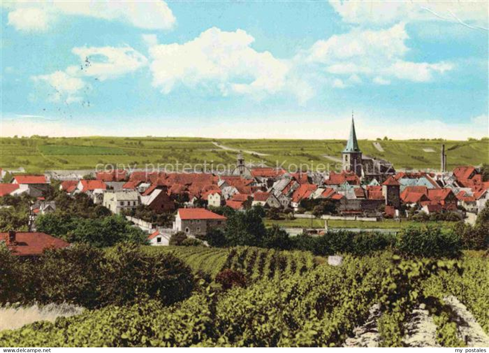 Freinsheim Bergstrasse Bad Duerkheim Rheinland-Pfalz Weinberge Ortspanorama Kirc