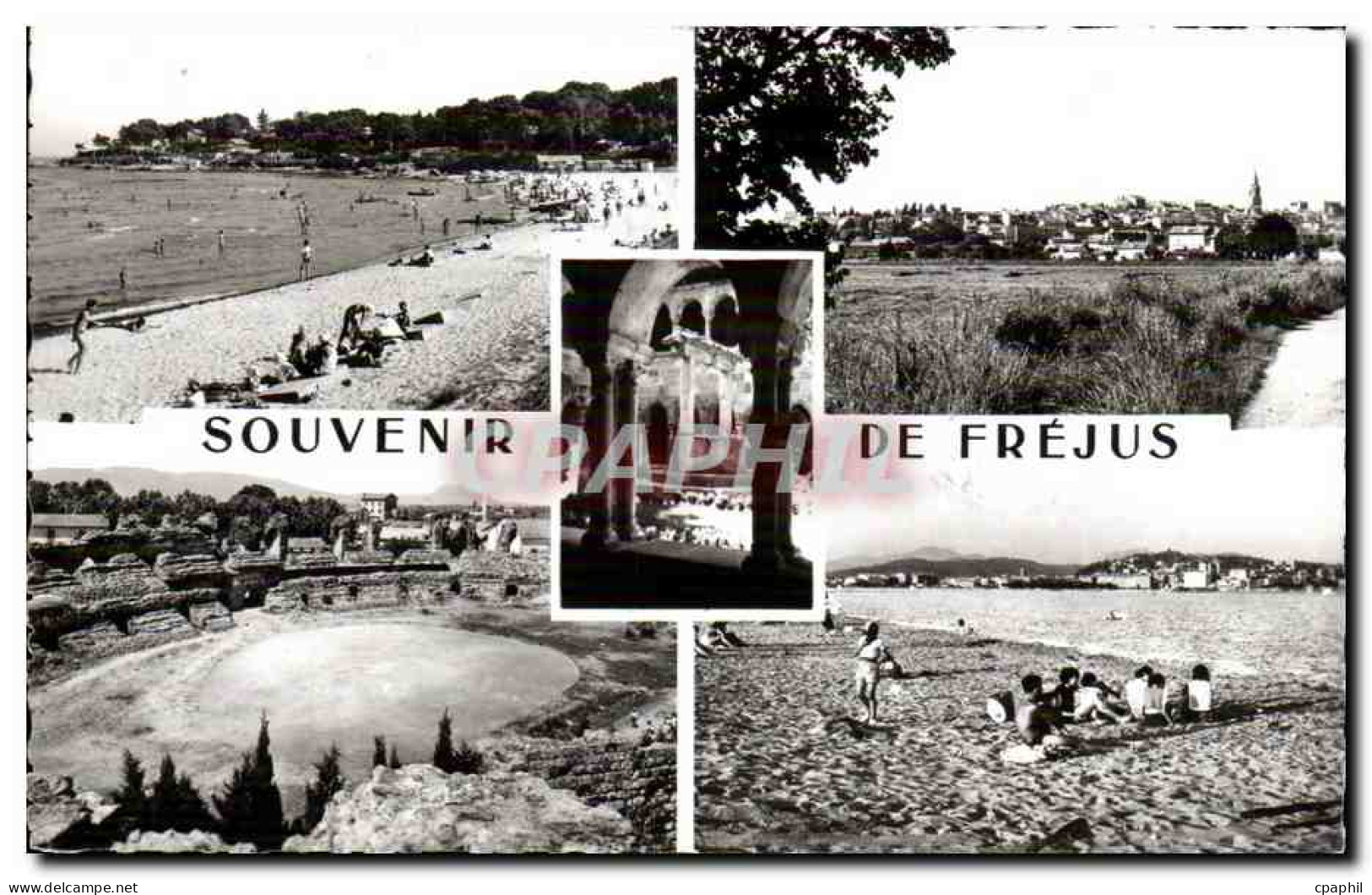 Frejus CPM Souvenir