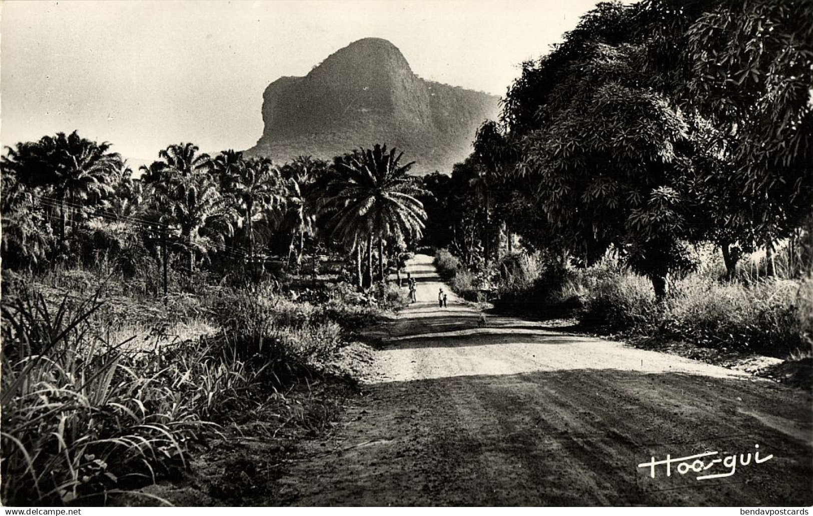 french guinea, KINDIA, Route de Goyah (1950s) Hoa-qui RPPC Postcard