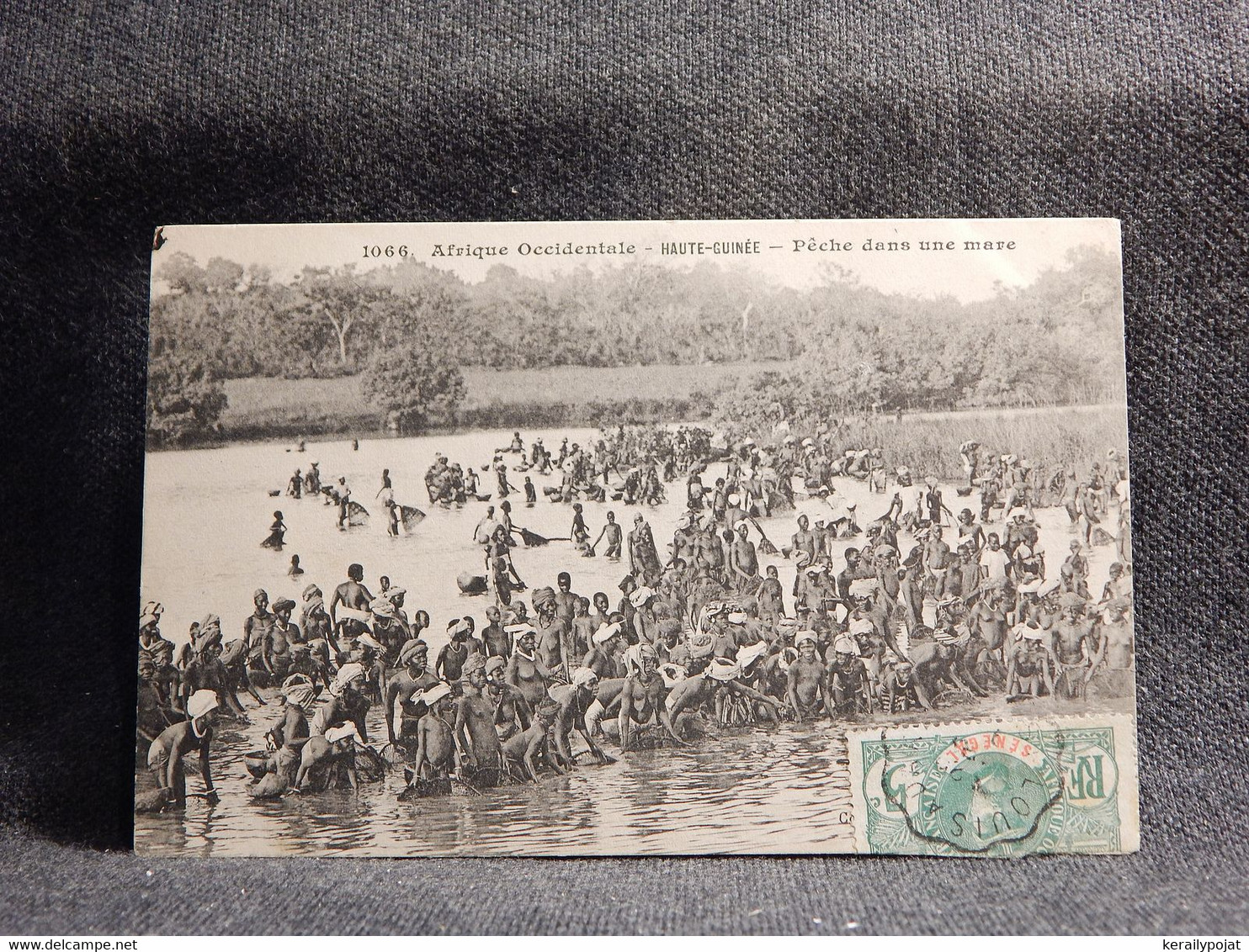 French Guinea Peche dans une mare -09__(8756)