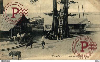 GUINEA. GUINEE FRANÇAISE. CONAKRY cour de la compagnie CFAO