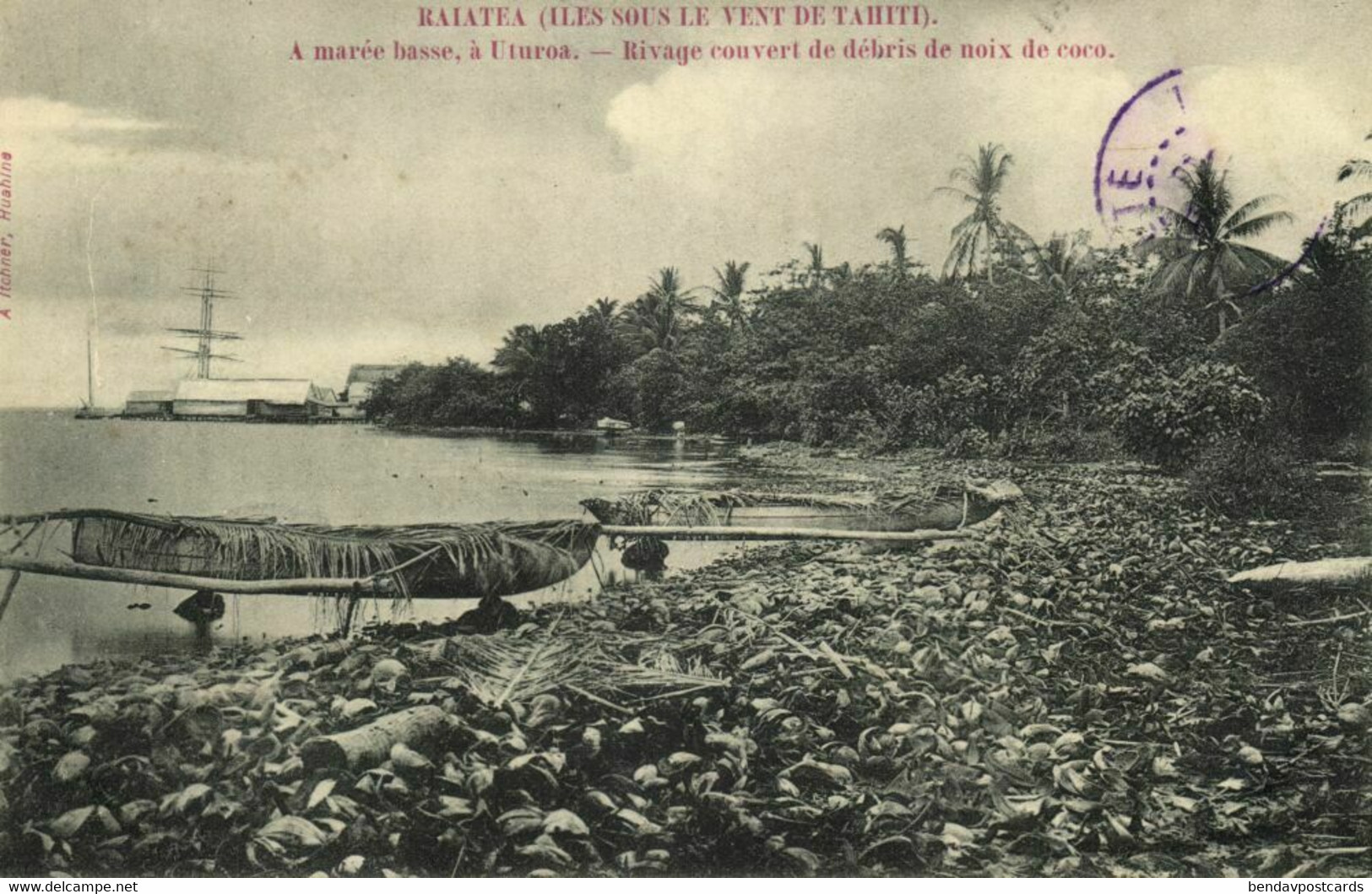 french polynesia, RAIATEA UTUROA, Convert Shoreline of Coconut Debris (1907) Postcard