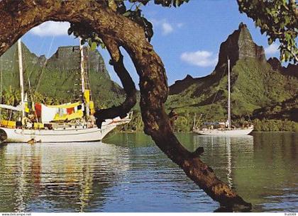 AK 175888 FRENCH POLYNESIA - Moorea - la baie d'Opunohu