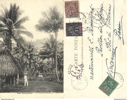 Marquesas Islands, ATUANA, Forest Path, Palm (1905) French Polynesia Postcard