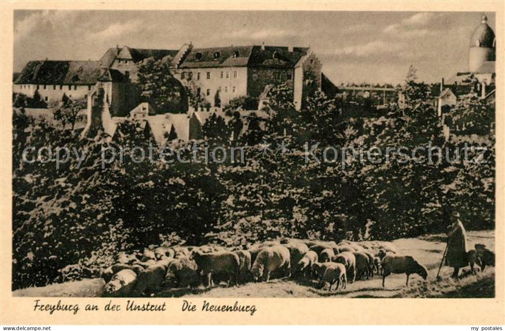 Freyburg Unstrut Die Neuenburg