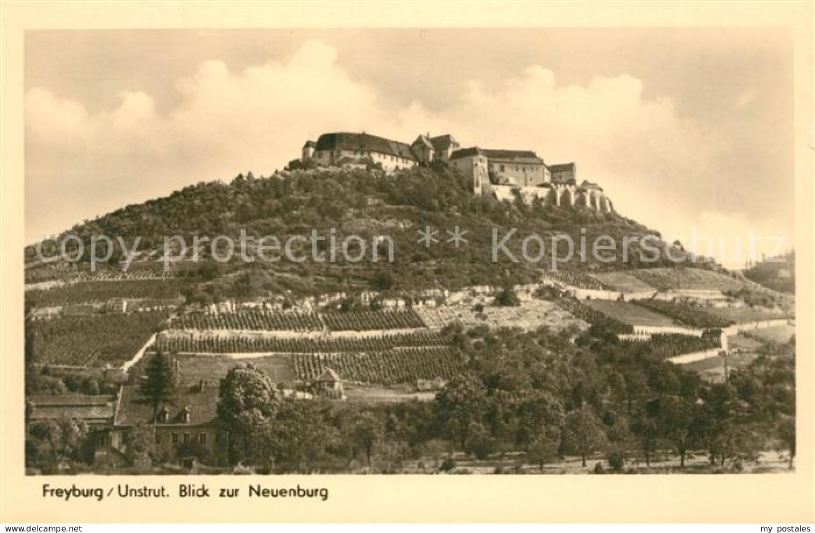 Freyburg Unstrut Neuburg