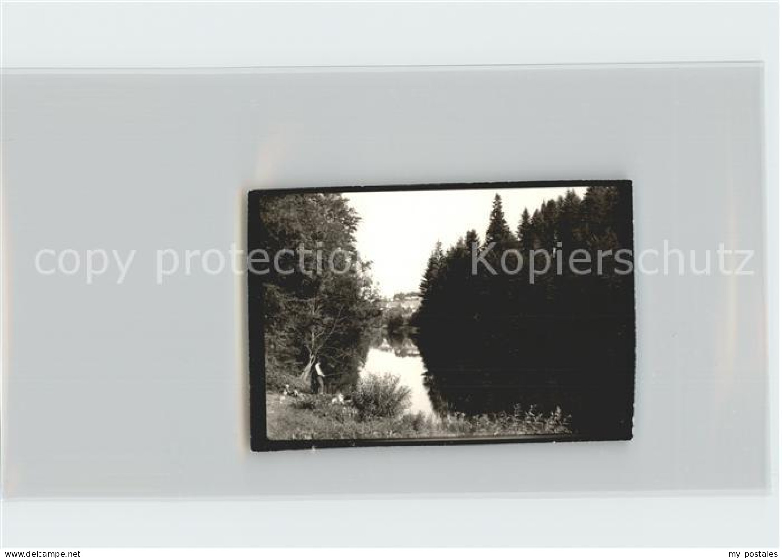 Freyung Freyung-Grafenau Bayern Stausee
