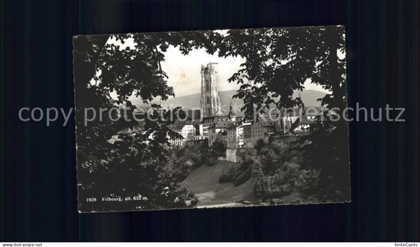 Fribourg FR Cathedrale