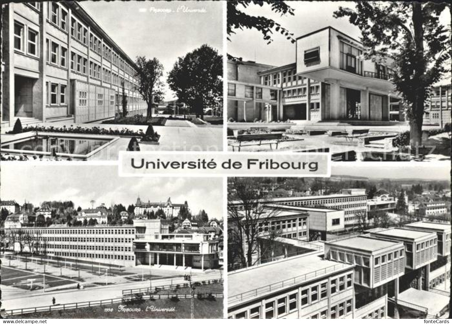 Fribourg FR Universite de Fribourg Details