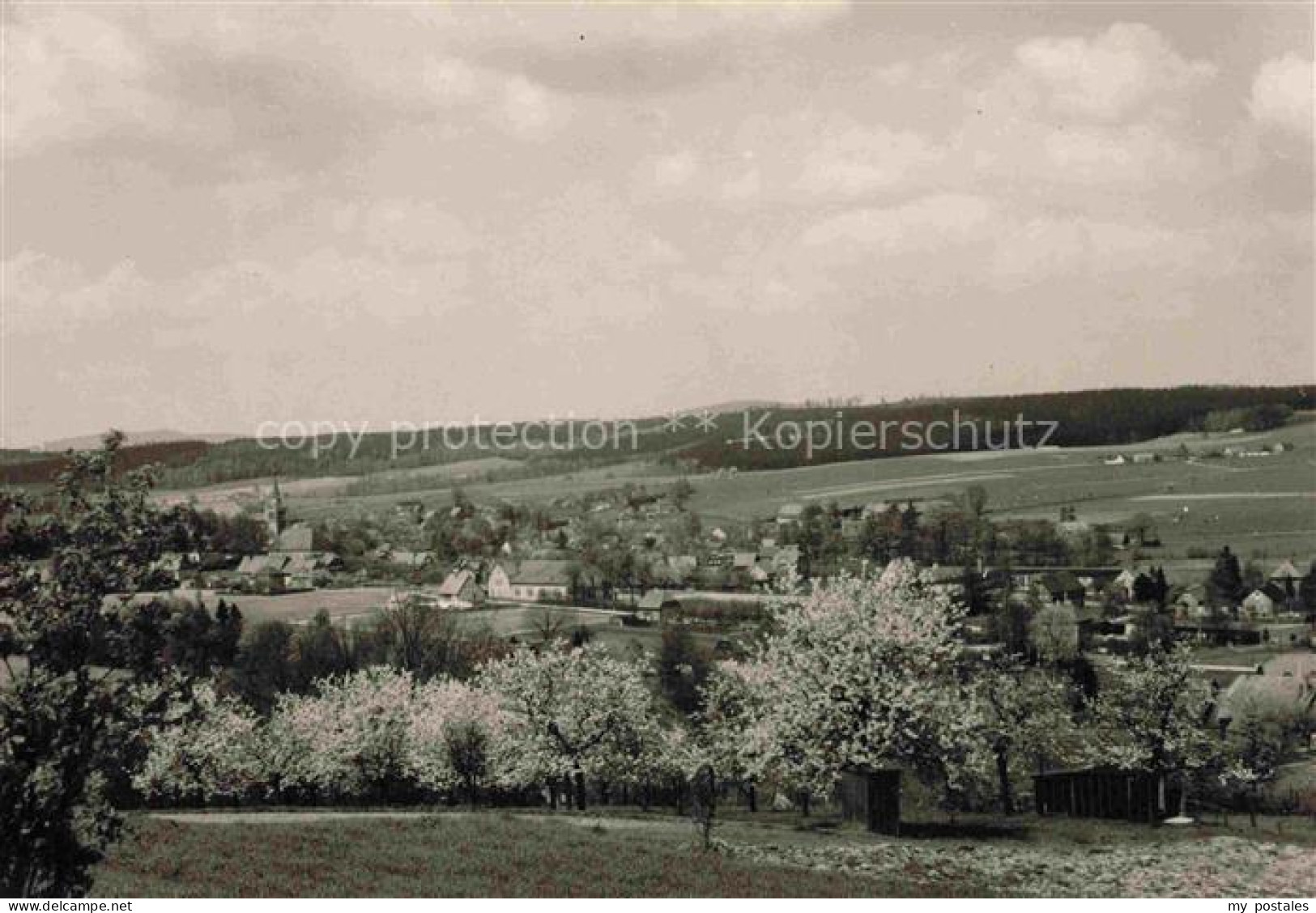 Friedersdorf Loebau Oberlausitz Sachsen Kirche Obstbluete Ortsansicht Huegel Fel