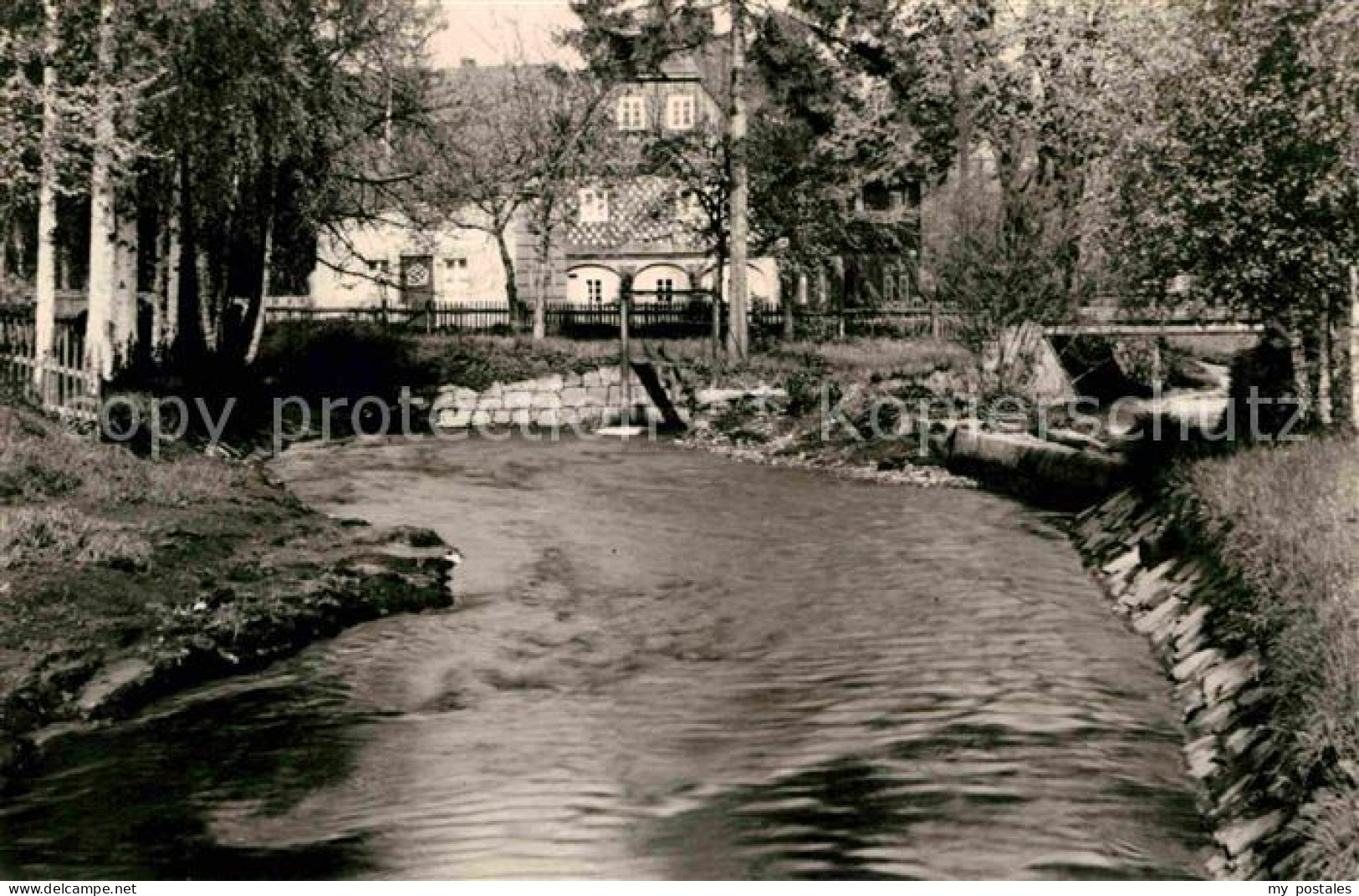 Friedersdorf Spree Partie am Fluss