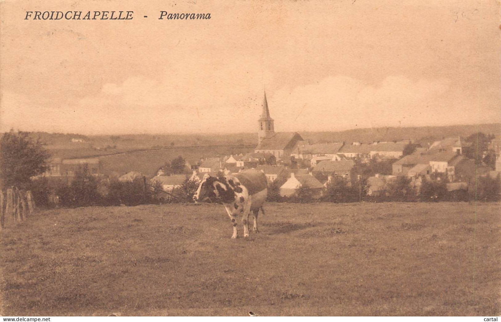 FROIDCHAPELLE - Panorama