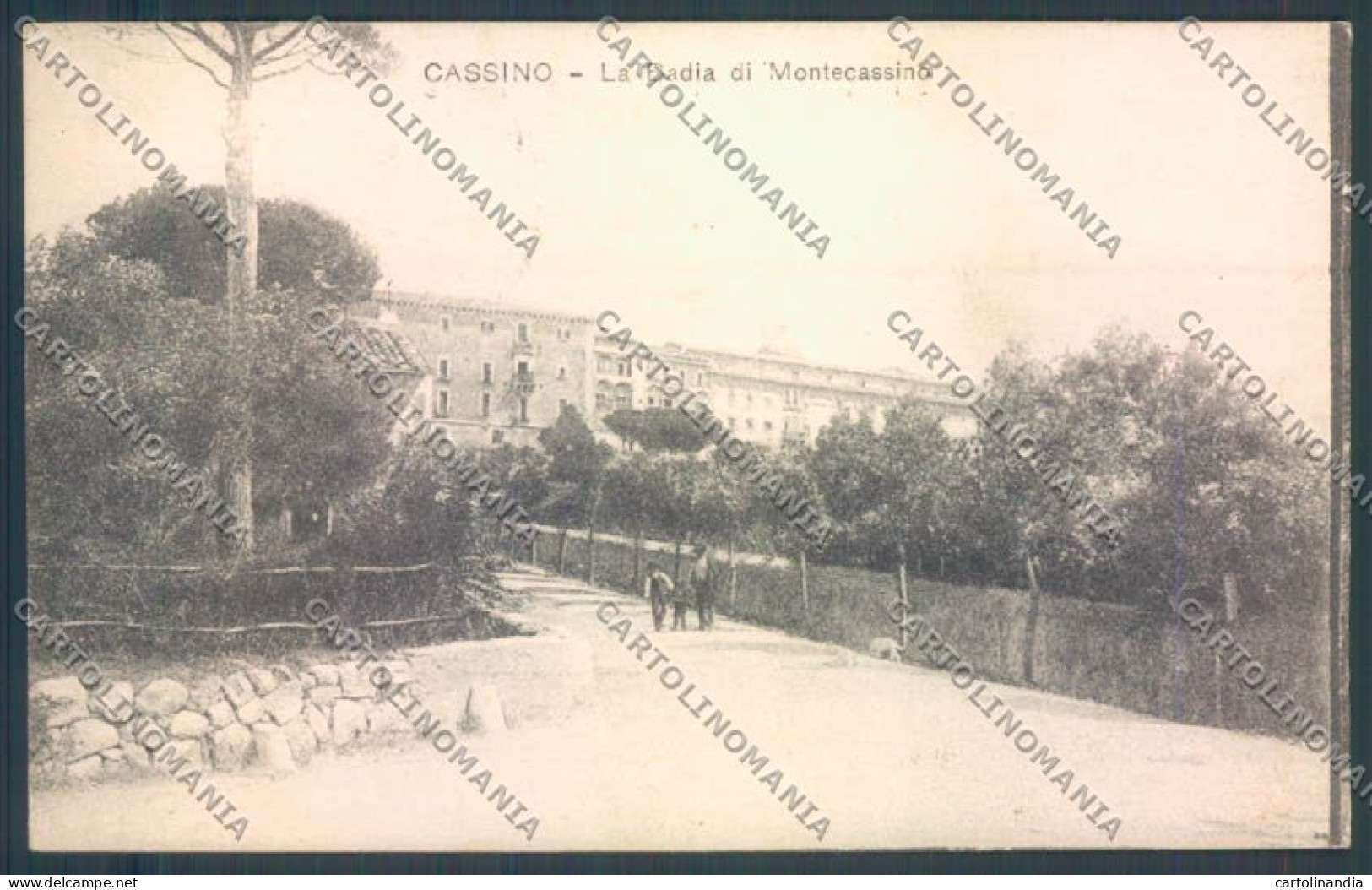 Frosinone Cassino cartolina ZB7097