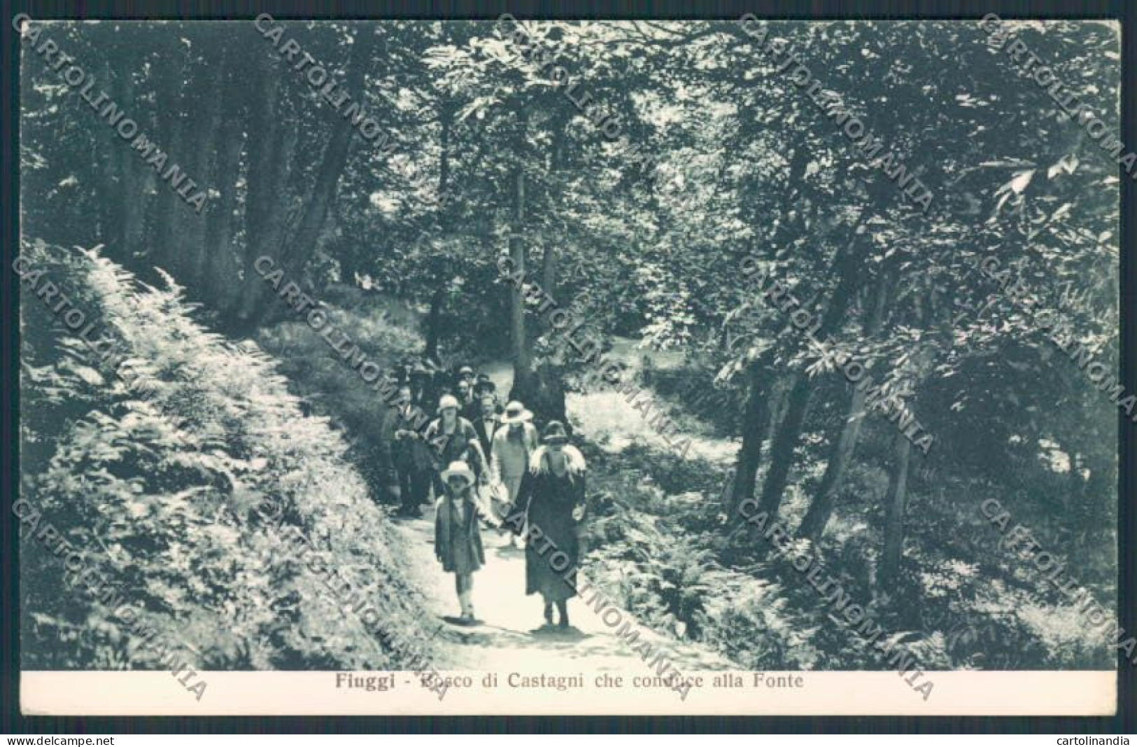 Frosinone Fiuggi cartolina MV1319