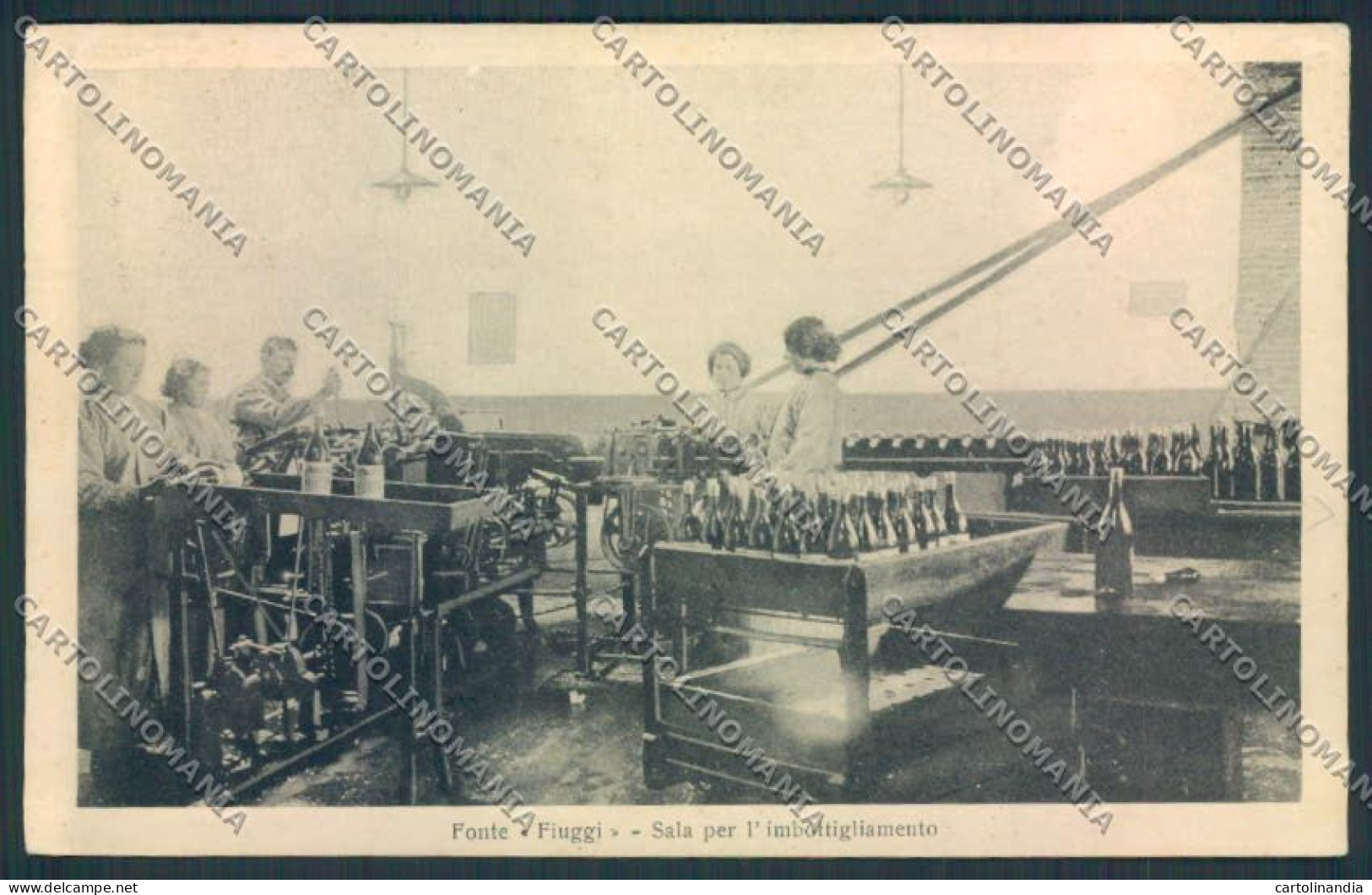 Frosinone Fiuggi cartolina MV1349