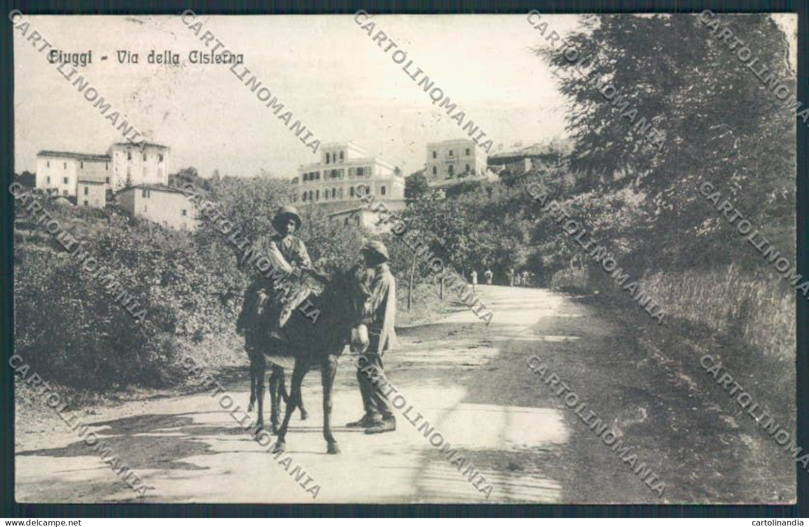 Frosinone Fiuggi cartolina MV1356