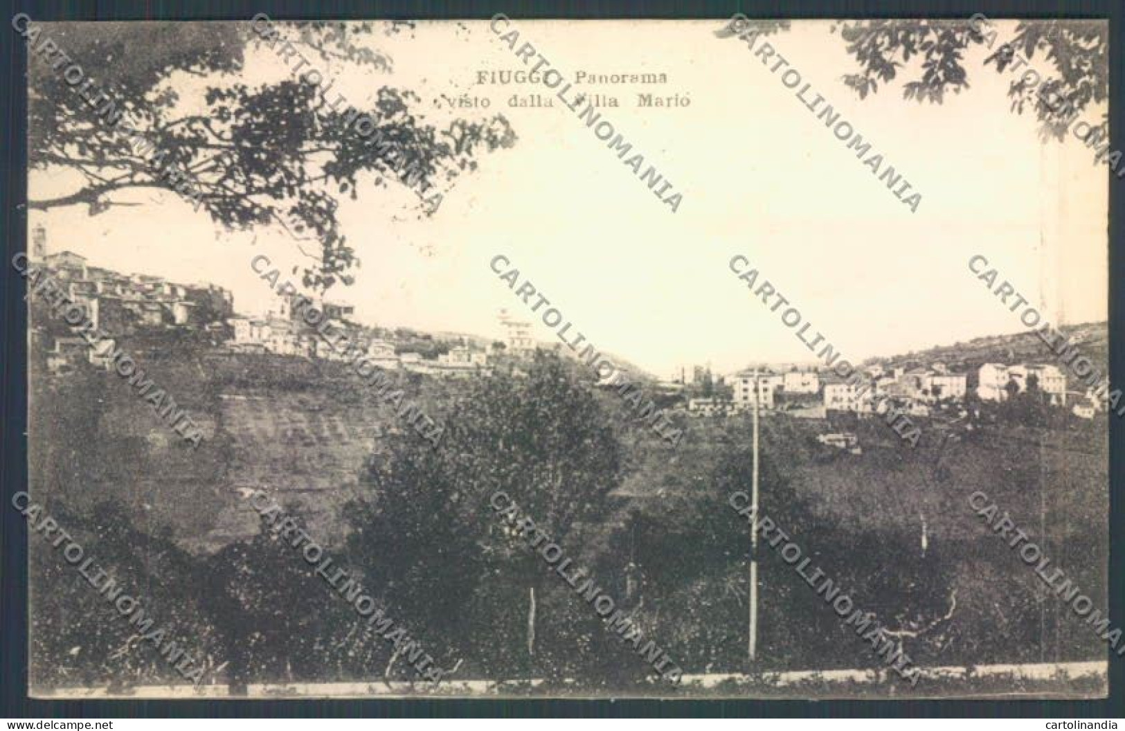 Frosinone Fiuggi cartolina ZB3248