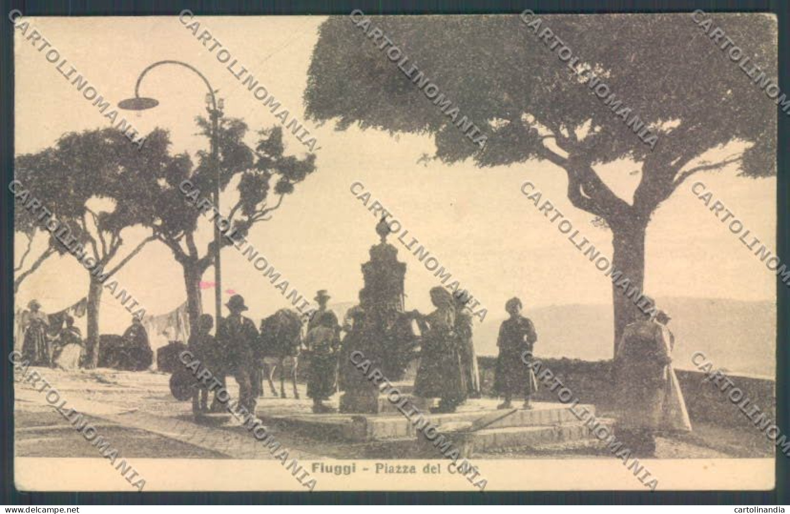 Frosinone Fiuggi cartolina ZB3263