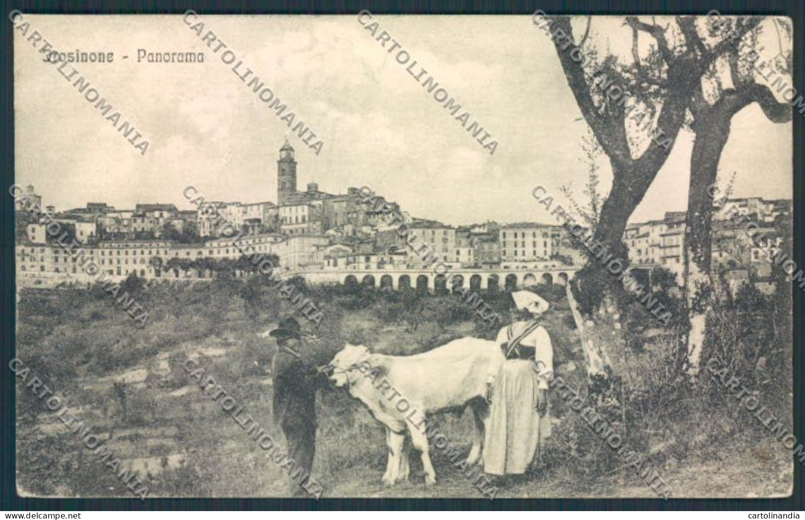 Frosinone PIEGHINE cartolina MV1131