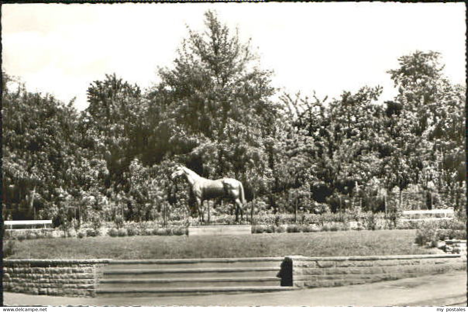 Fuerstenberg Mecklenburg Fuerstenberg Pferd