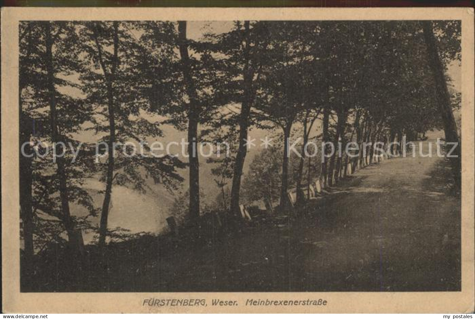 Fuerstenberg Weser Meinbrexenerstrasse