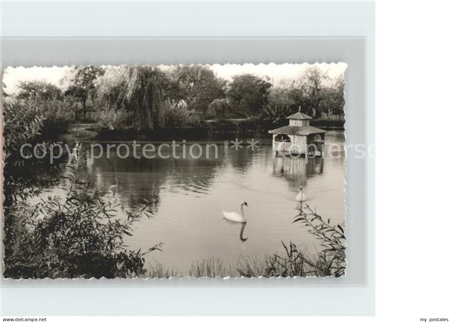 Fuerstenberg Weser Schwanenteich