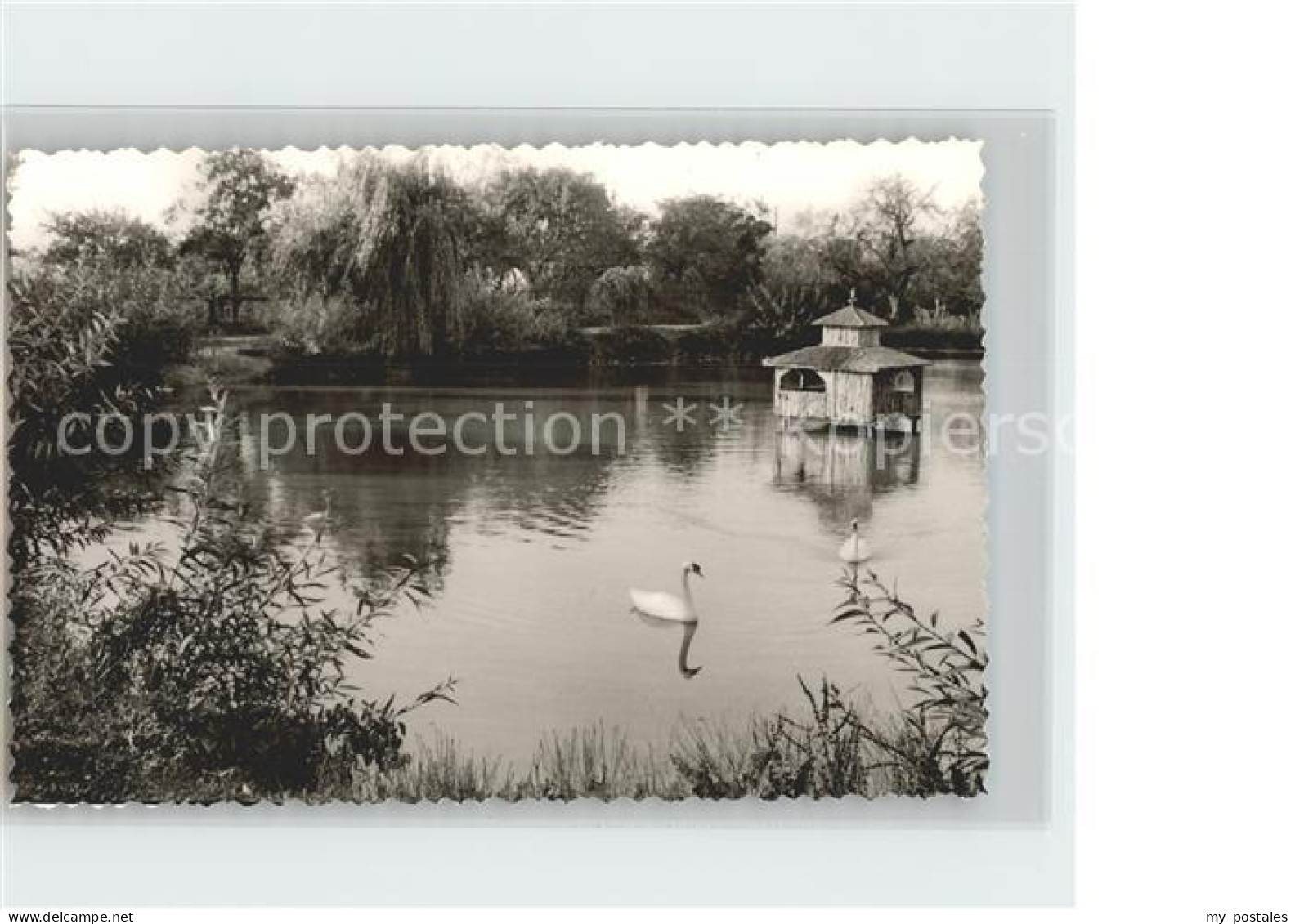 Fuerstenberg Weser Schwanenteich