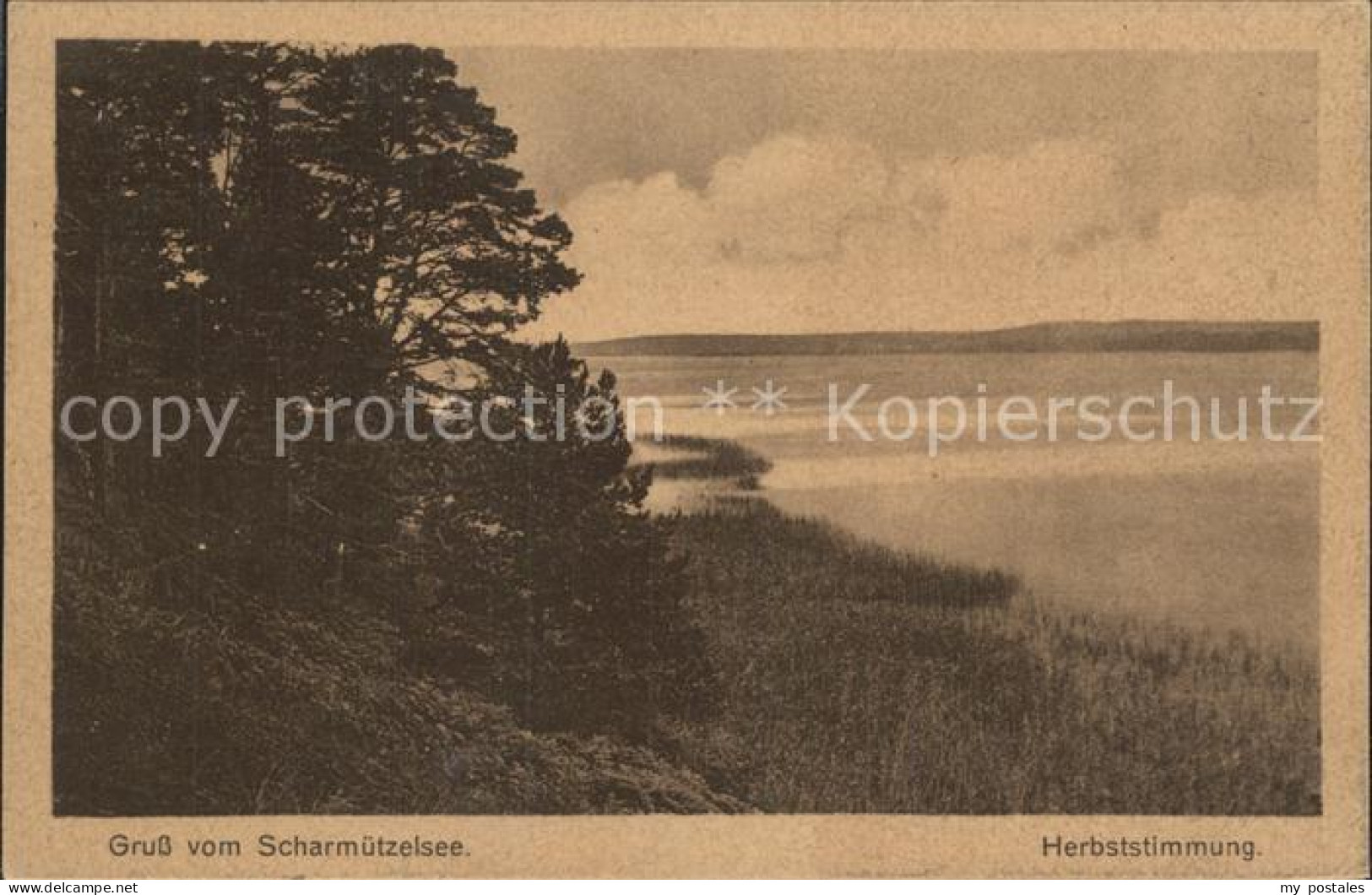 Fuerstenwalde Spree Herbststimmung am Scharmuetzelsee