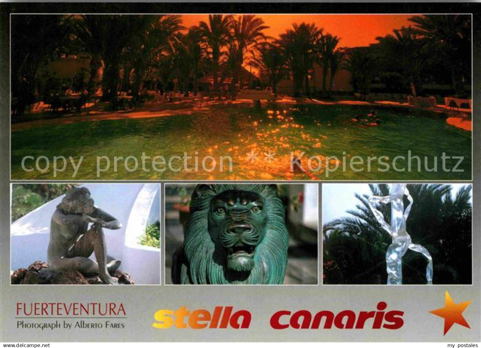 Fuerteventura Stella Canaris