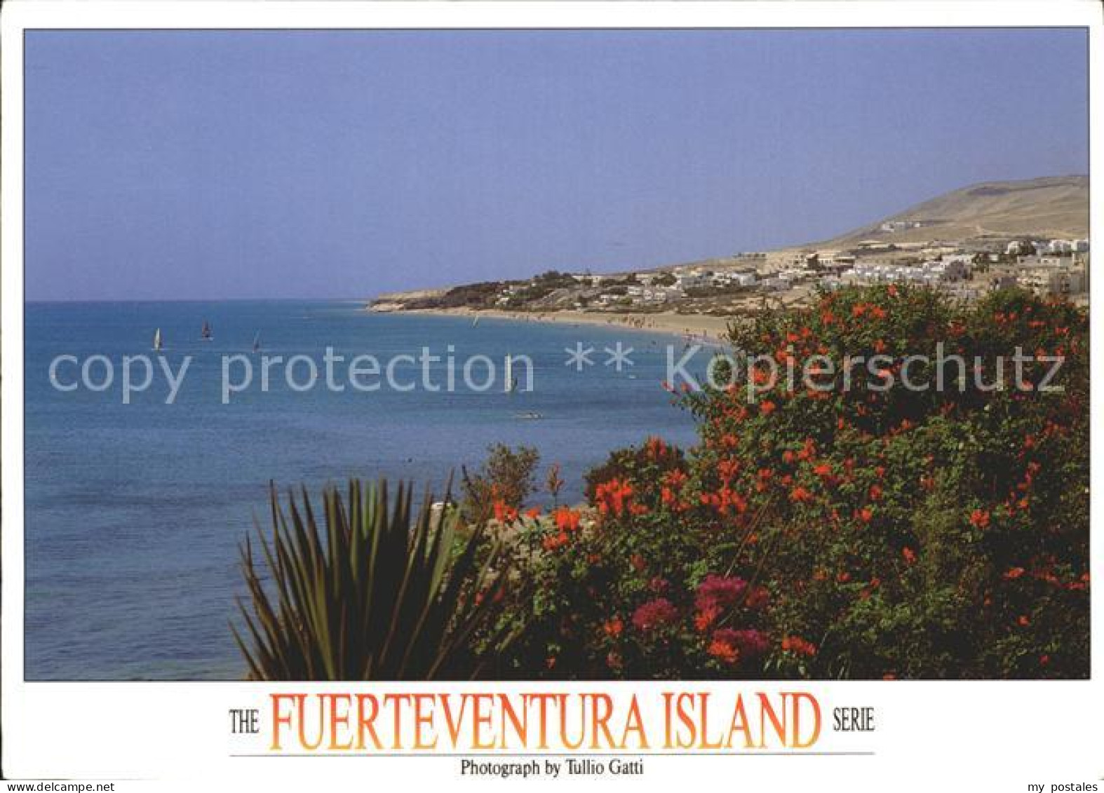 Fuerteventura Strandpanorama