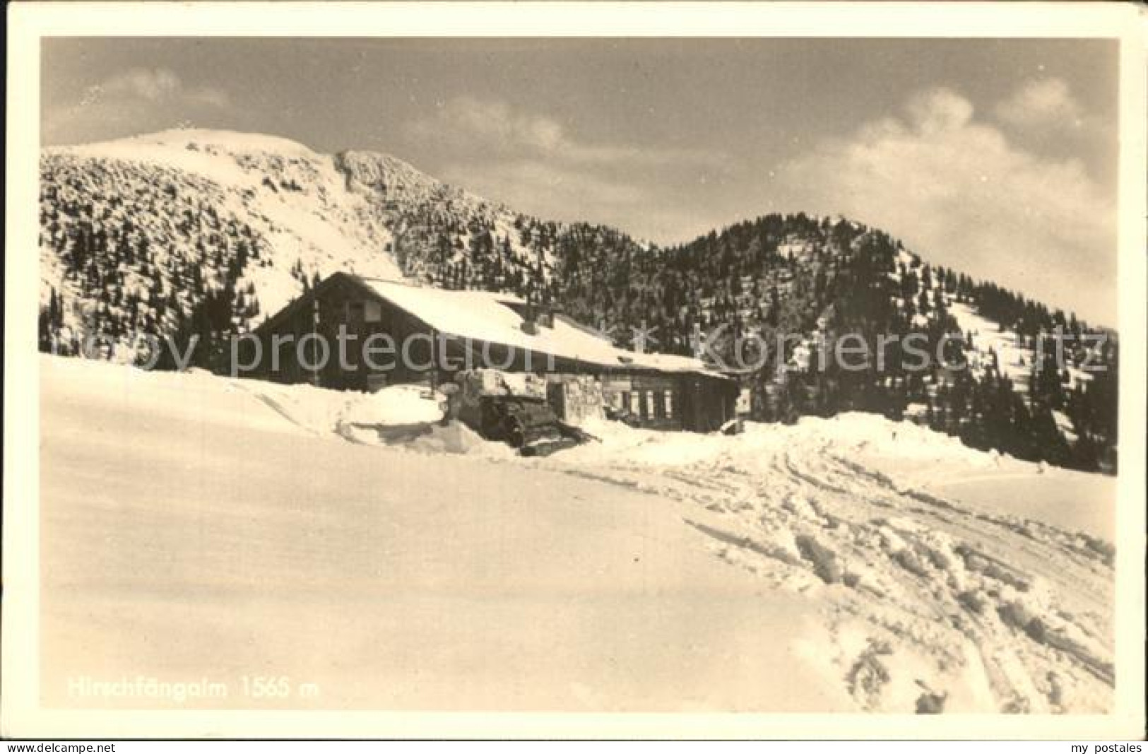 Fuessen Allgaeu Hirschfaengeralm