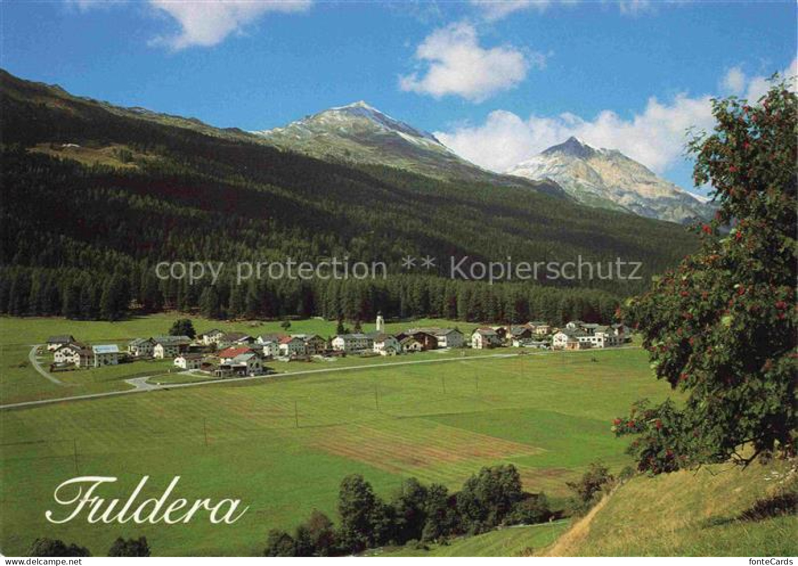 Fuldera GR Val Muestair mit Piz d'Oro und Piz d'Aint