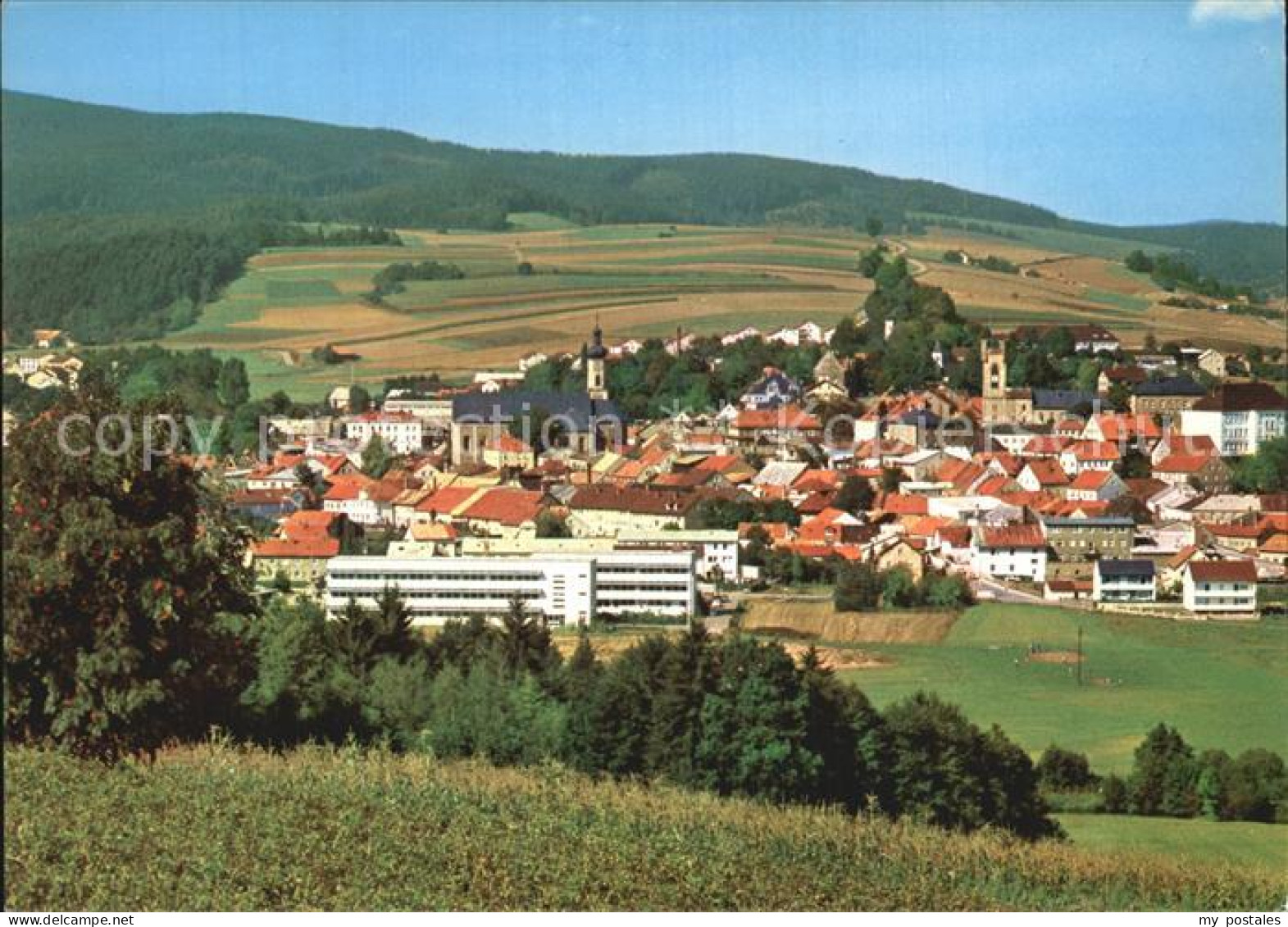 Furth Wald Bayerischer Wald Ansicht