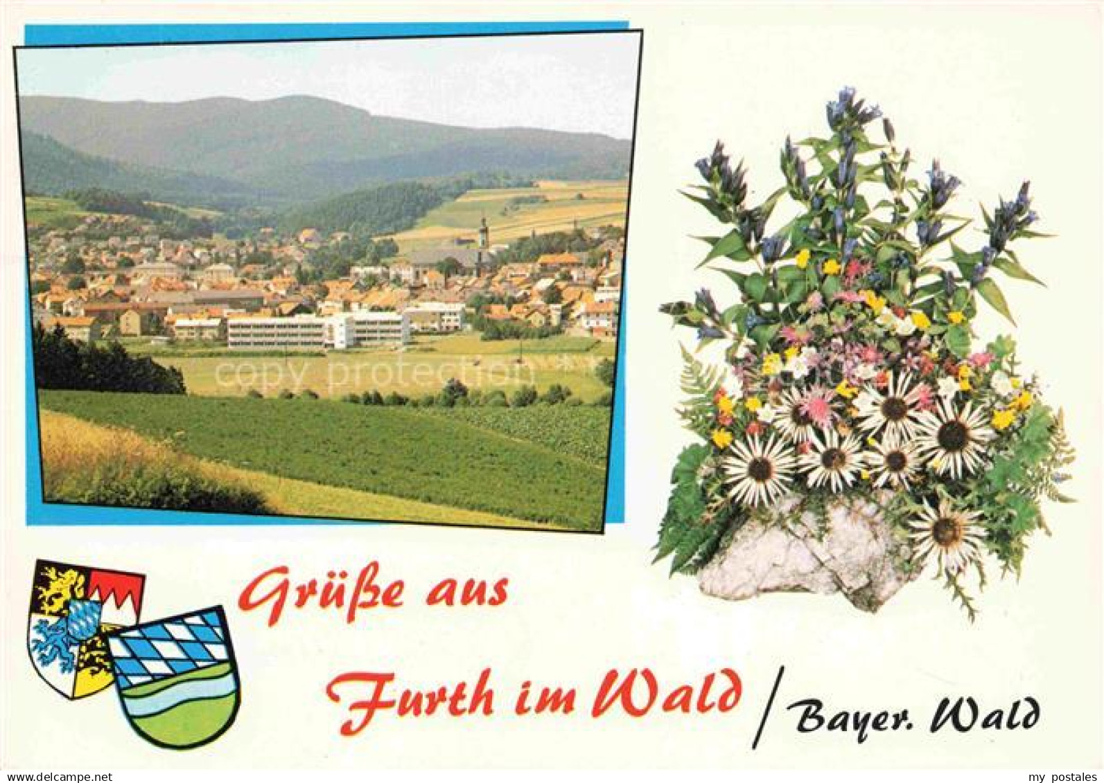 Furth Wald Fuerth Wald Panorama Blumenstrauss
