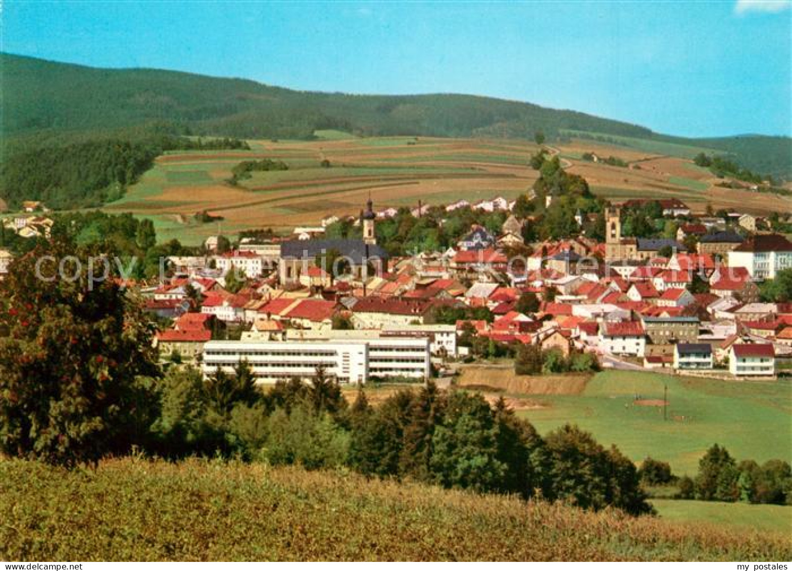 Furth Wald Panorama