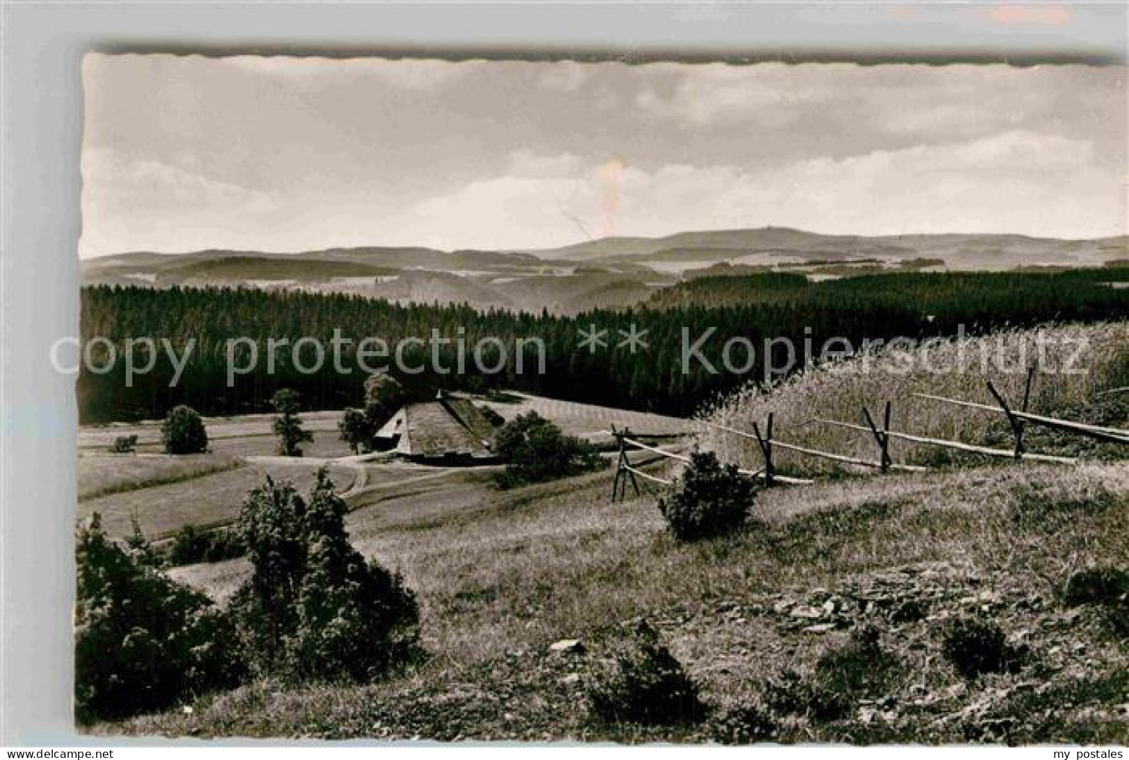 Furtwangen Feldberg